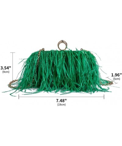 Women Ostrich Feather Purse Tote Bag Crossbody Shoulder Fluffy Purse Party Bag Evening Handbag for Wedding Anniversary Green ...