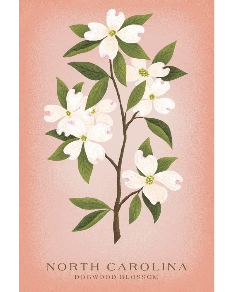 North Carolina, Vintage Flora, State Series, Dogwood Blossom (24x36 Giclee Gallery Art Print, Vivid Textured Wall Decor) $27....